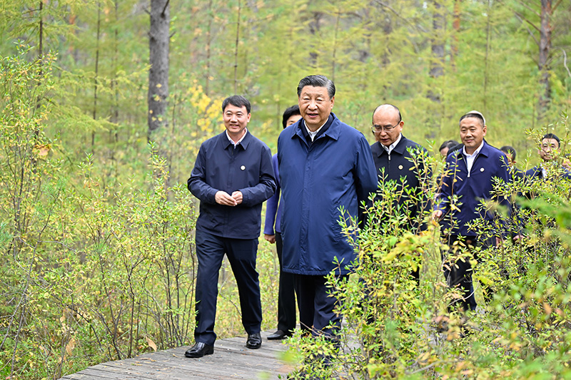 9月6日至8日，中共中央總書記、國(guó)家主席、中央軍委主席習(xí)近平在黑龍江考察。這是6日下午，習(xí)近平在大興安嶺地區(qū)漠河市漠河林場(chǎng)自然林區(qū)考察